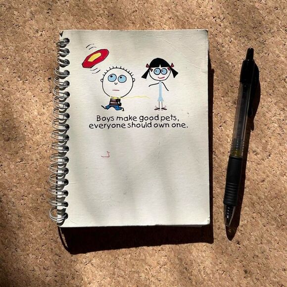 2006 Vintage ‘Boys Make Good Pets’ David & Goliath Spiral Notebook Journal - Picture 6 of 6